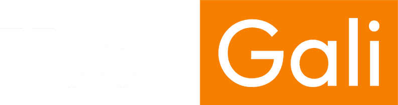 TechGali Logo